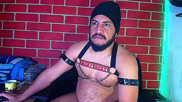 the master foal  online show from December 5, 11:27 am