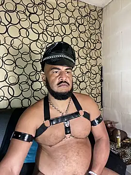 the master foal  online show from March 31, 8:49 am