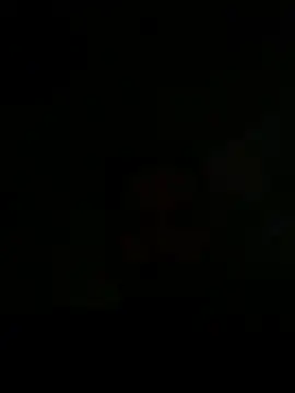 Inches  online show from January 17, 9:16 pm