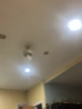 dingoding online show from February 7, 10:40 am