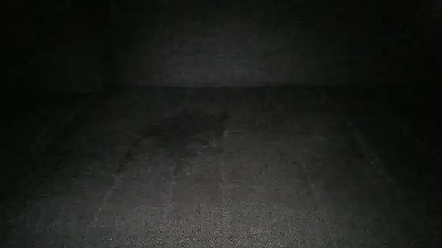 Anderrust online show from November 13, 10:24 pm