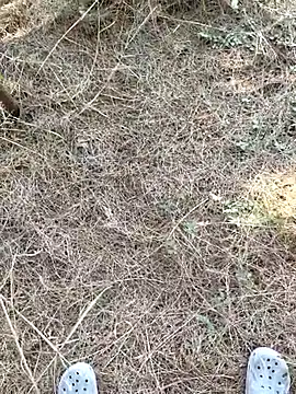 Gopal1243 online show from January 9, 7:57 am