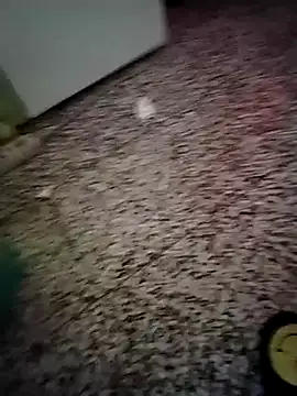 GeorgeTatiana online show from April 6, 7:36 pm