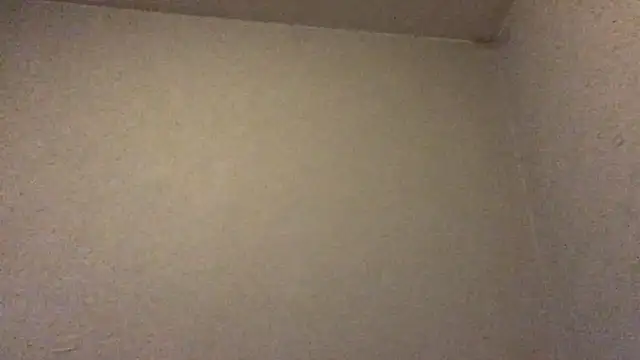 mondo29 online show from February 27, 2:54 pm