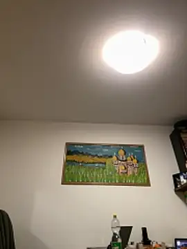 Toyjungee online show from December 16, 8:16 pm