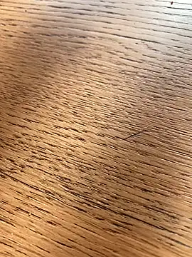 Fellix online show from November 3, 11:25 am