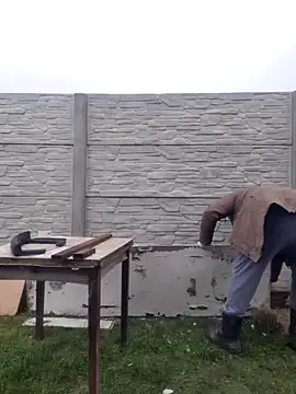 Pandasky online show from February 6, 11:32 am