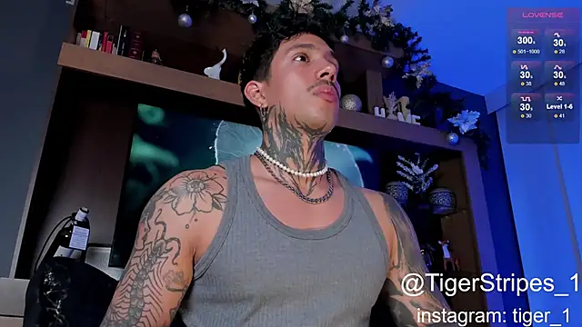 TigerStripes1  online show from January 4, 4:44 am