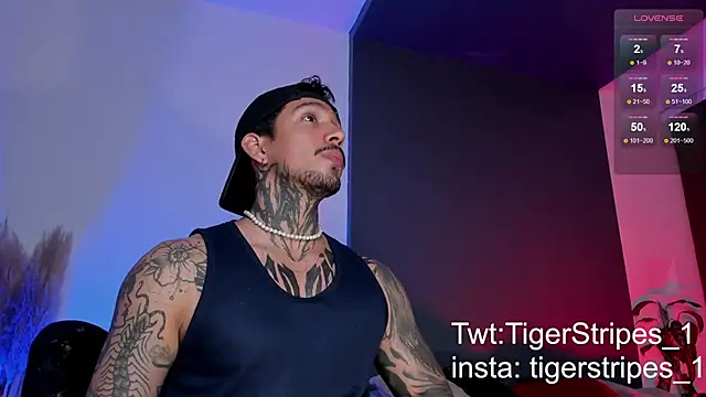 TigerStripes1  online show from March 15, 12:25 am