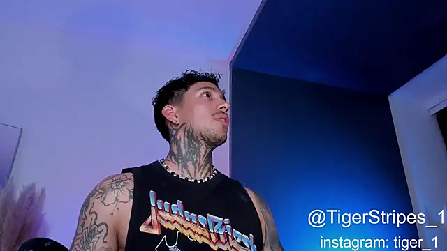 TigerStripes1  online show from February 1, 2:37 am